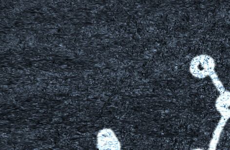 Wir machen Sommerpause vom 13. Juli bis zum 3. August 2026